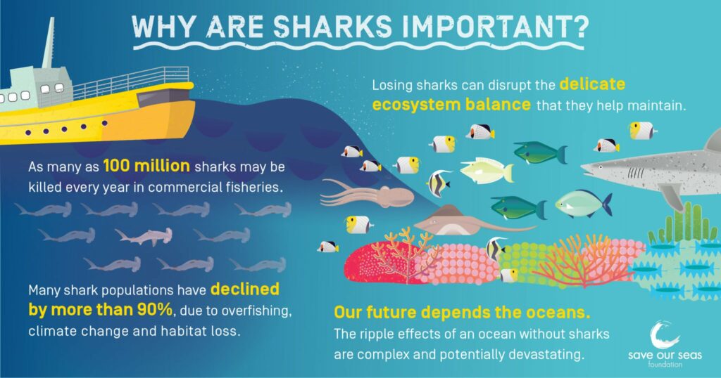 Book Review: 'The Lives of Sharks' 6 Book Review: 'The Lives of Sharks' 6