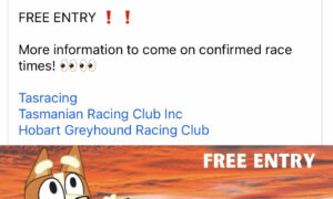 Tasracing Slammed Over 'Bluey-washing' 4