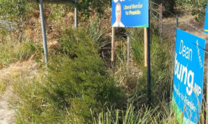 Slow or No Action on Illegal Election Signage 21