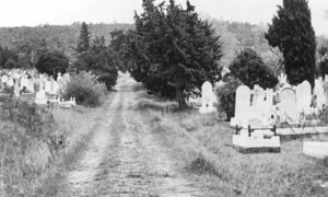 Tas That Was – Queenborough Cemetery 1