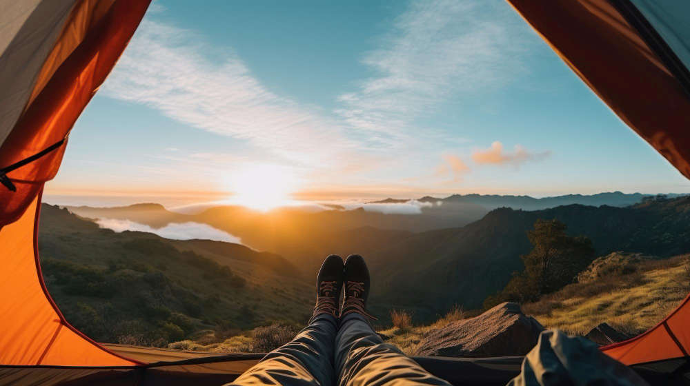 Is There a Future for Tourism in Tasmania? 1
