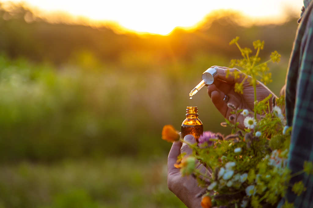 Exploring Natural Wellness -The Healing Power of Botanical Perfumes 3 Exploring Natural Wellness -The Healing Power of Botanical Perfumes 3