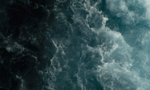 Community Concern for Declining Ocean Health 19