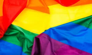 Just Equal: Albanese Sells Out LGBTIQA Students & Teachers 8
