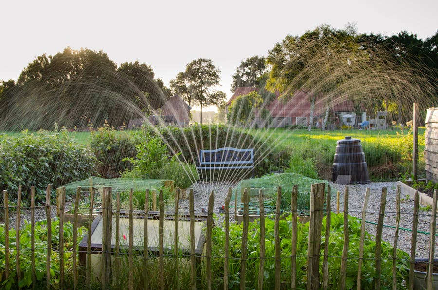 Effective Water-Saving Techniques for Your Garden 3 Effective Water-Saving Techniques for Your Garden 3