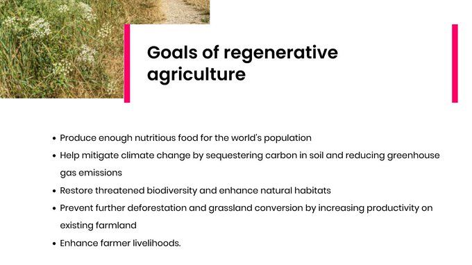The Greenwashing of 'Regenerative Farming' 21 The Greenwashing of 'Regenerative Farming' 21