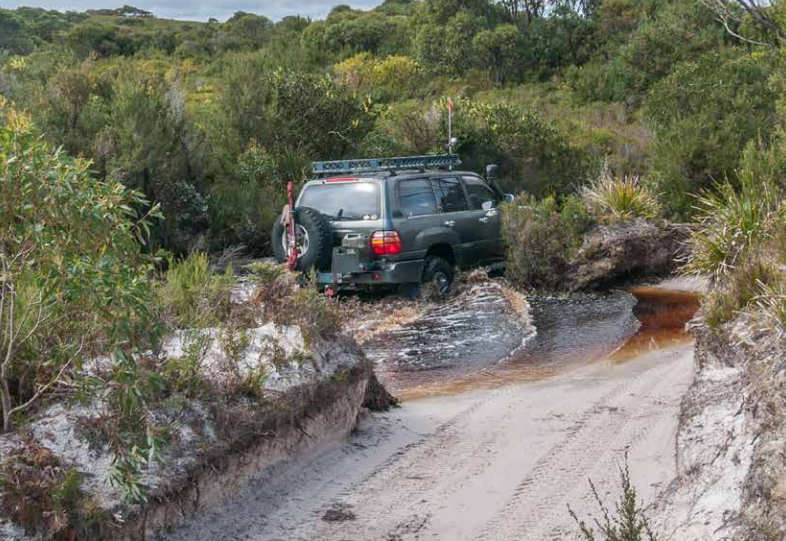 Have Your Say on Draft West Coast 4WD Tracks Strategy 3