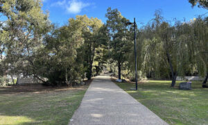 New Outdoor STEM Adventure for Hobart Families 4