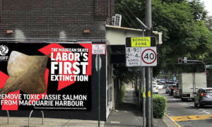NOFF Takes Skate Campaign to Plibersek's Sydney Office 14