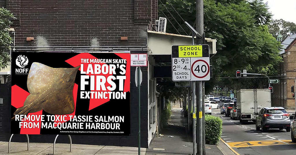 NOFF Takes Skate Campaign to Plibersek's Sydney Office 1
