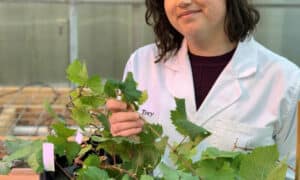 Researching Humidity Impact on Wine Quality 6