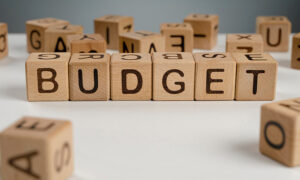 Tasmanian Responses to Federal Budget 2024-25 1