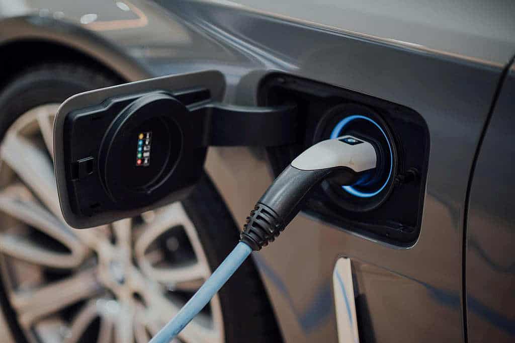 Green Motoring Transforming Australian Lives 5 Green Motoring Transforming Australian Lives 5