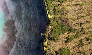 Habitat Protection Laws 'Ineffective, Woeful' 29