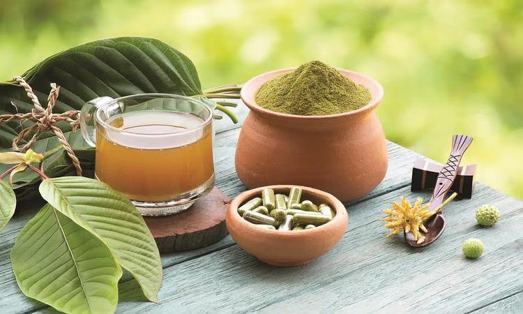 Kratom Nutrition Facts - Does Kratom Have Calories? 1 Kratom Nutrition Facts - Does Kratom Have Calories? 1