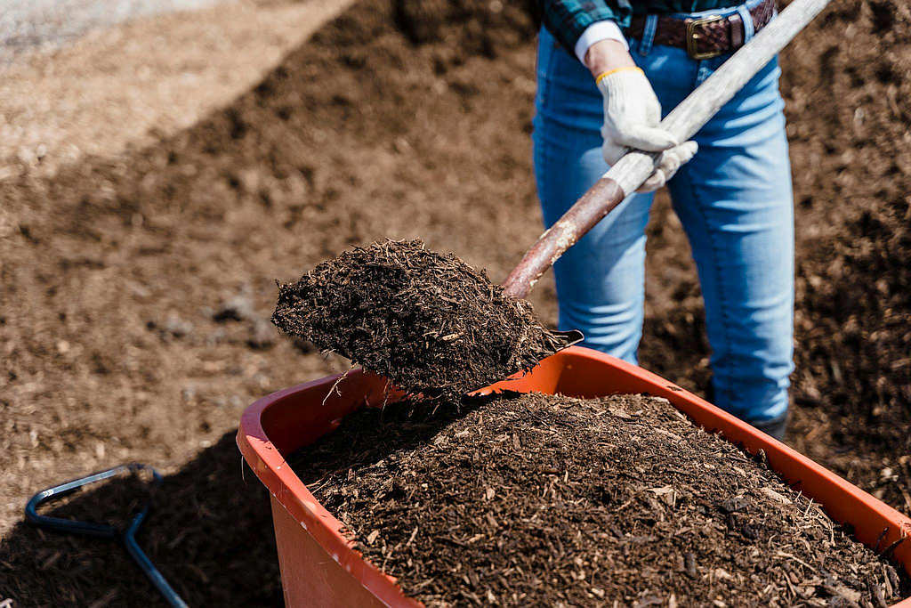 Best Practices for Garden Waste Disposal 6 Best Practices for Garden Waste Disposal 6