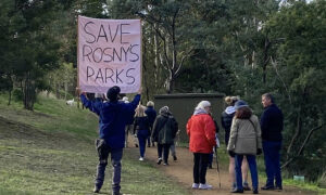 Rosny Community Action is ... a Walk in the Park! 6