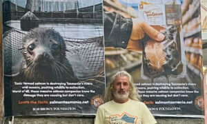 New Campaign to 'Expose Salmon Reality' 6