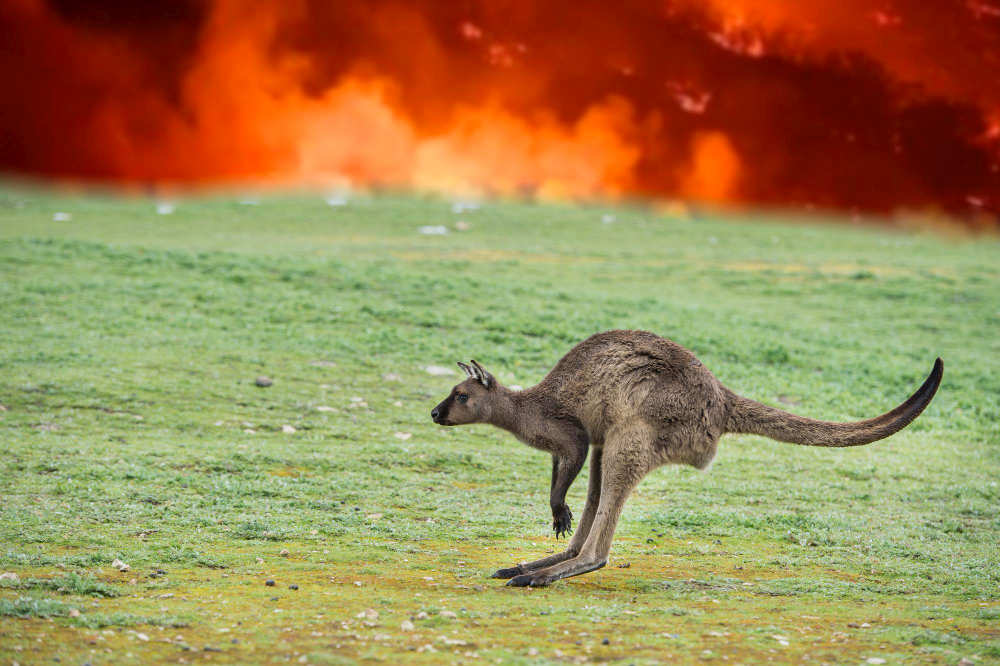 Extreme Bushfires Increasing in Number and Intensity 1