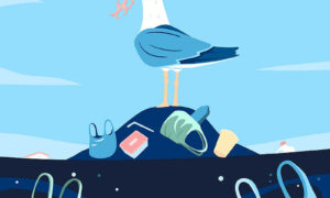 Microplastics a 'Mega Problem' for Waterways 8