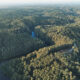 Federal Law Changes Trigger Forestry Conflict in Tasmania 2