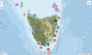 Robots Document Storm Bay Reefs 3