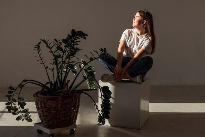 Embrace Simplicity - Discover the Joys of Minimalist Living 3 Embrace Simplicity - Discover the Joys of Minimalist Living 3