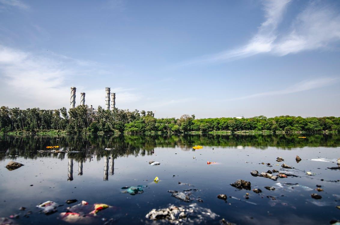 HOW DOES LITTERING AFFECT THE ENVIRONMENT AND LOCAL WILDLIFE 3 HOW DOES LITTERING AFFECT THE ENVIRONMENT AND LOCAL WILDLIFE 3