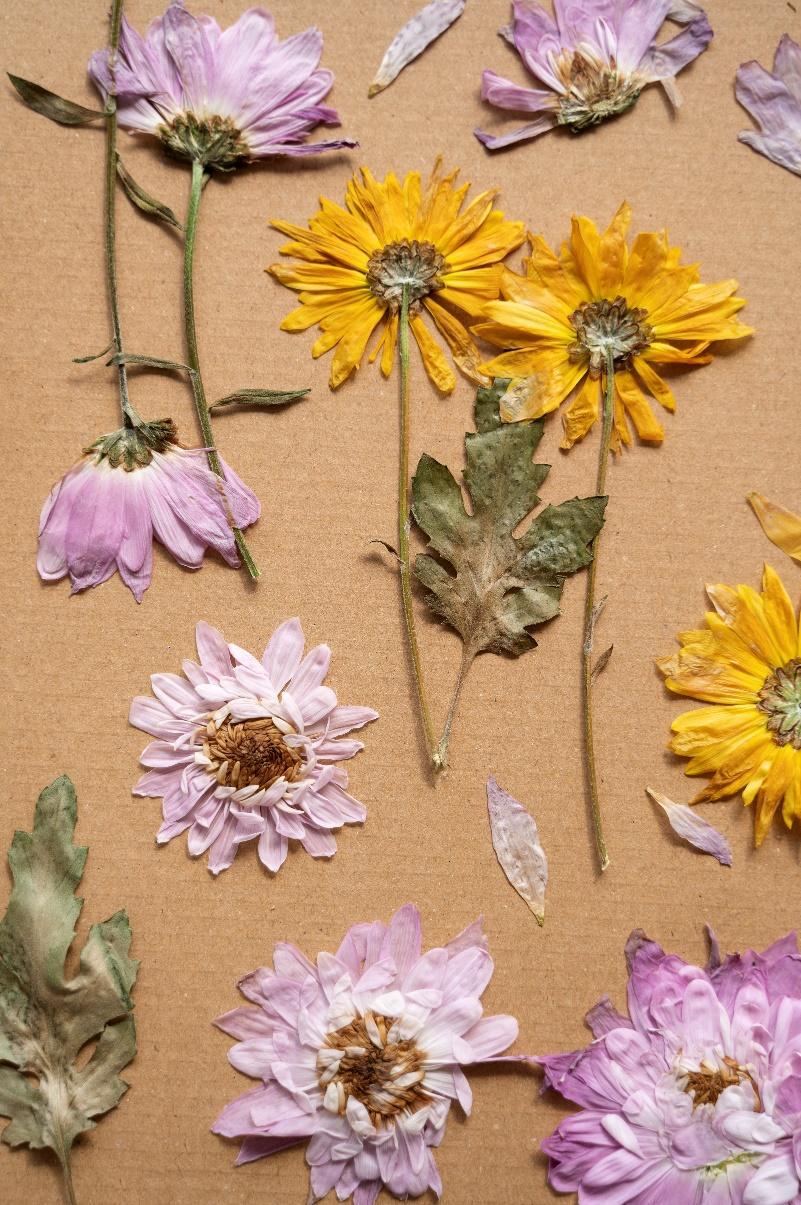 Pressed Flower Art - How to create art with pressed flowers 3 Pressed Flower Art - How to create art with pressed flowers 3