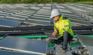Solar Leaves Nuclear and Everything Else in the Shade 14