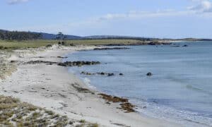 Proposed Changes to Tasmania’s Coastal Policy Touches Community Nerve 25