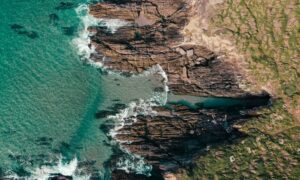 Evolution of the Tasmanian Brand - Qualitative Research Report 3