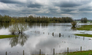 Funding Boost to Improve Readiness for Natural Disasters 17