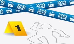 Pedestrian Killed By Police on Flinders Island 12