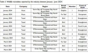 Salmon Industry Canned Over Wildlife Abuse 15