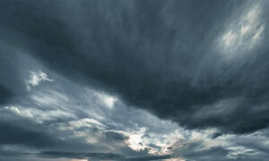 Tasmanians Urged: Be Informed, Make Safe Decisions 25