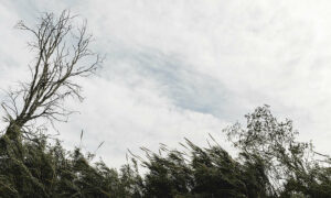 SES Reponds to Severe Weather 19