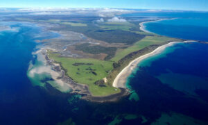 Call for Robbins Island to Become Devil Sanctuary 1