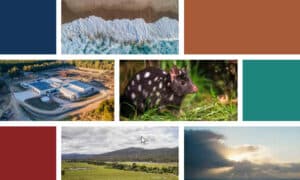State of Environment Report Released, Only 10 Years Late 8