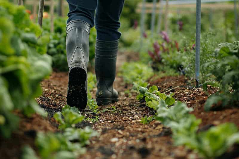 Farming Confidence Up 1