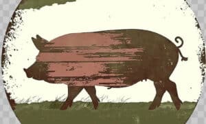 On Banning Pork Barrelling ... 11