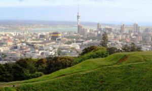 Hobart-Auckland Flights Resume 3