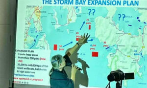 Southern Beaches Community Says No to Salmon Farms 1