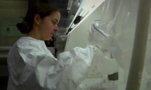 Delphine Lannuzel to Head Antarctic Program 18