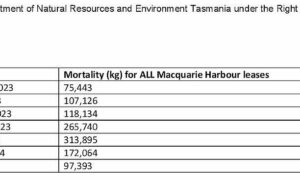 Big Stink Over Mass Salmon Mortality 28