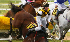 151 Horses Died on Australian Racecourses in 2023-24 Season 21