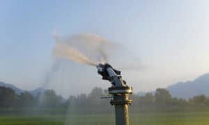 Broke Govt Begs for Irrigation Money 17