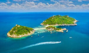 Islands are Critical to Flora Conservation 23