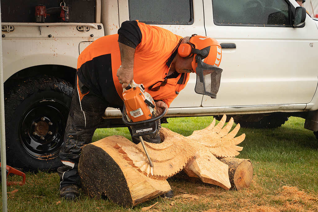Highlands BushFest Celebrates 10 Years 1