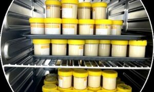 Breakthrough! Plant Yoghurt Rivals Dairy Creaminess 19